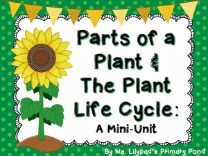 parts of a plant for kids cut and paste