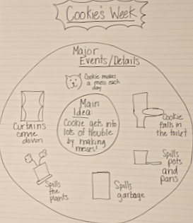 Main Idea Graphic Organizer