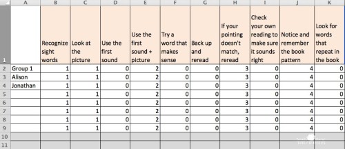  I use this simple spreadsheet to keep track of which decoding, comprehension, and fluency skills I teach during guided reading!