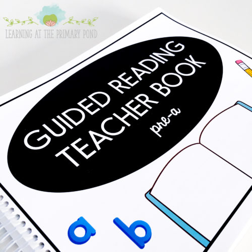 This is my Pre A guided reading teacher book with tons of lessons and activity ideas!