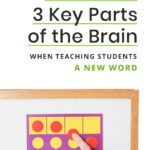 How to Activate 3 Key Parts of the Brain When Teaching Students a New Word