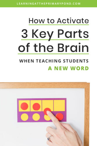 hat teaching is all about! In this post, I’ll discuss the three key parts of the brain that need to be activated and provide a step-by-step process for teaching students a word.