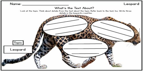 Identifying main idea and details is a core reading comprehension skill. This blog post includes ways to teach and review main idea and details with your Kindergarten, first grade, and second grade students.