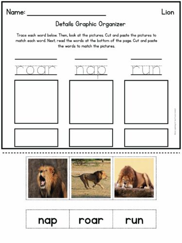 Identifying main idea and details is a core reading comprehension skill. This blog post includes ways to teach and review main idea and details with your Kindergarten, first grade, and second grade students.