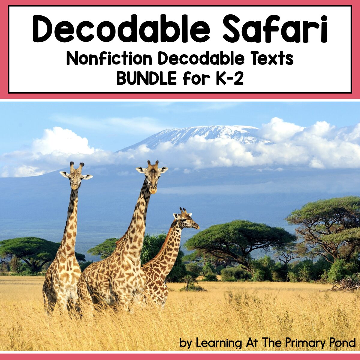 Decodable Safari Nonfiction Decodable Texts BUNDLE for K-2