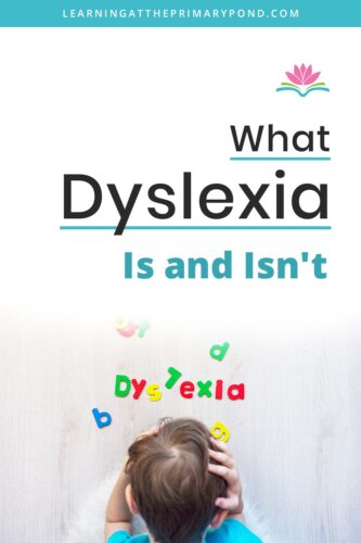 Dyslexia impacts so many kids and adults, so it's important that you have a good understanding of what it is and isn't! In this blog, I'll talk through some of the science behind dyslexia and also clear up some common misunderstandings.