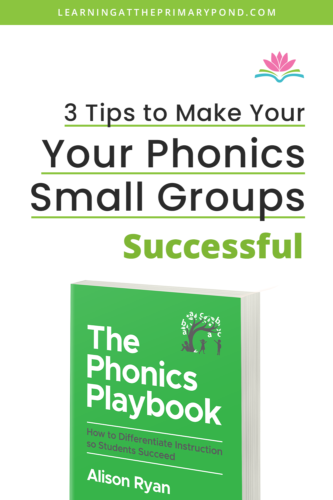 In this blog post, I'll provide 3 tips to help make your time with phonics small groups successful, differentiated, and meaningful.